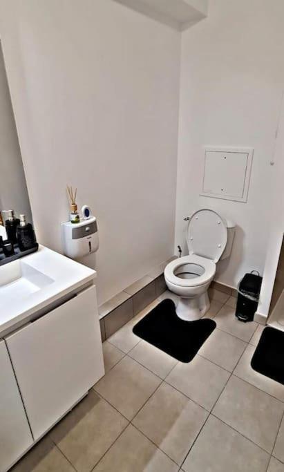 Apartment Loft Climatise Parking Gratuit 5min Gare *